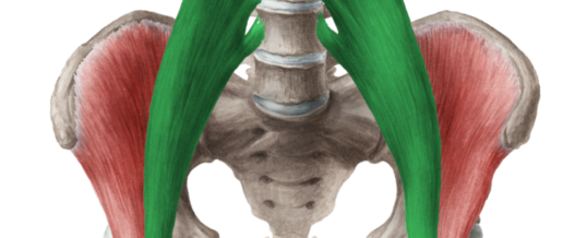 So What?    No, no, no.   So As – Psoas